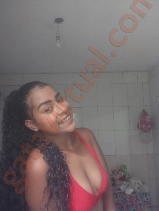Eduarda meneses